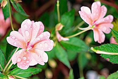 “Steam即时战略游戏节”正式开启 即日起至1月27日